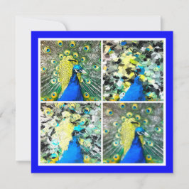 Platt Peacock Art-kort