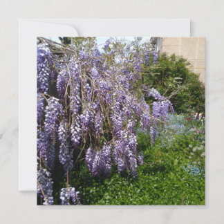 Platt Spara datum Bröllop wisteria violett grön Datumet
