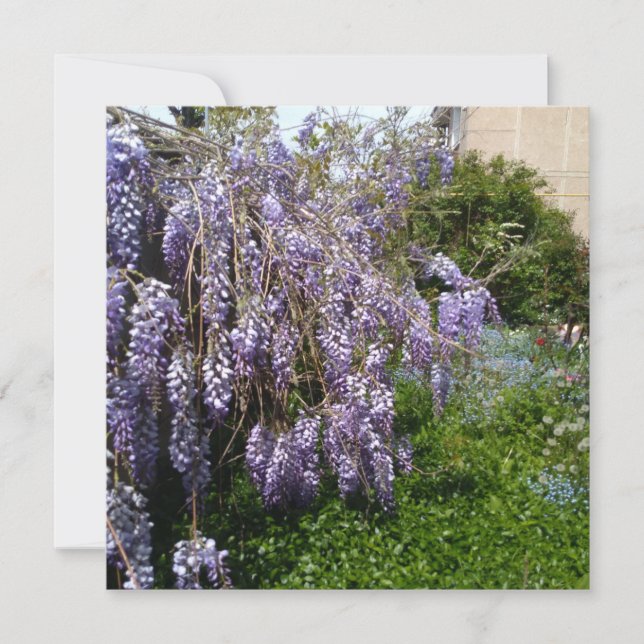 Platt Spara datum Bröllop wisteria violett grön Datumet (Framsida)