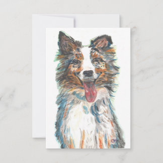 Platt tack, ditt kort - Hund-Australian shepherd