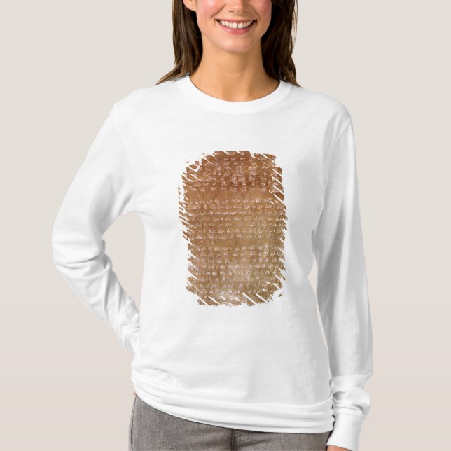 Platta av Darius mig 550-500 BC Tröja (Framsida)