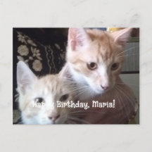 Platta kort för hälsningens födelsedag