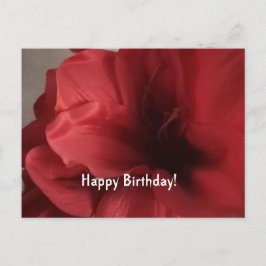 Platta kort för hälsningens födelsedag