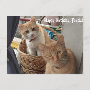 Platta kort för hälsningens födelsedag