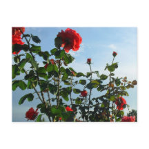 Platta kort för hälsningens födelsedag