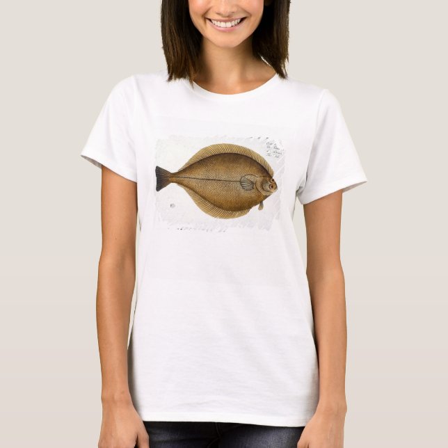 Plattan XLVI (Pleuronectes Limanda) från "Ichthy" Tee (Framsida)