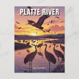 Platte River Sandhill Cranes Nebraska Travel Vykort