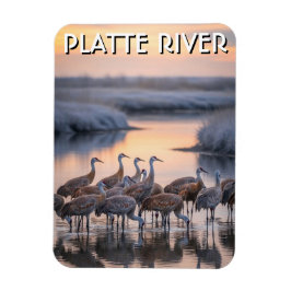 Platte River Sandhill Tranor Nebraska Resa Magnet