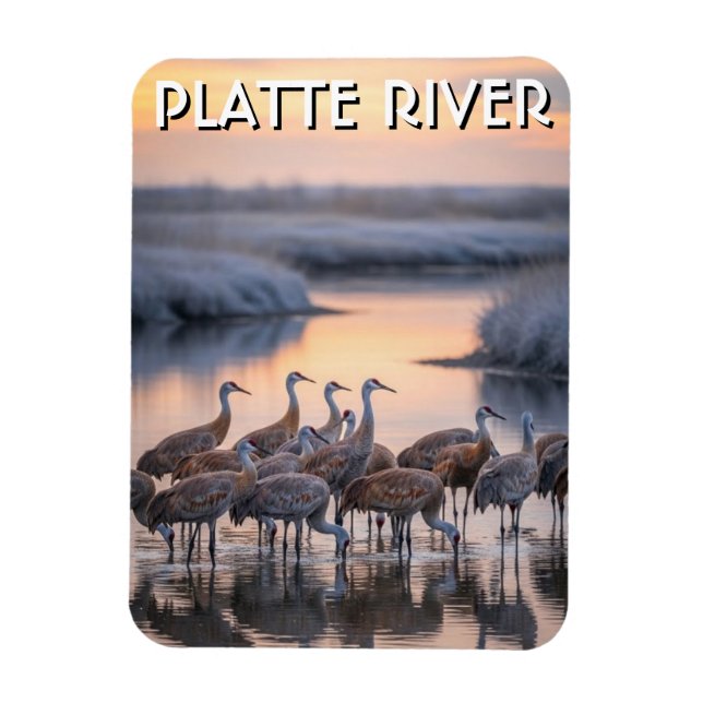 Platte River Sandhill Tranor Nebraska Resa Magnet (Vertikal)