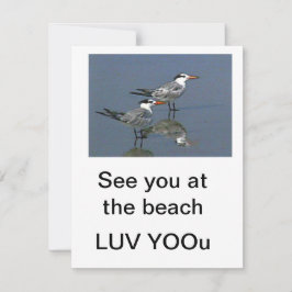 Plattkort Vi ses på stranden Gibney Museum