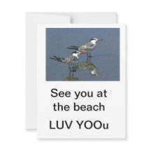 Plattkort Vi ses på stranden Gibney Museum