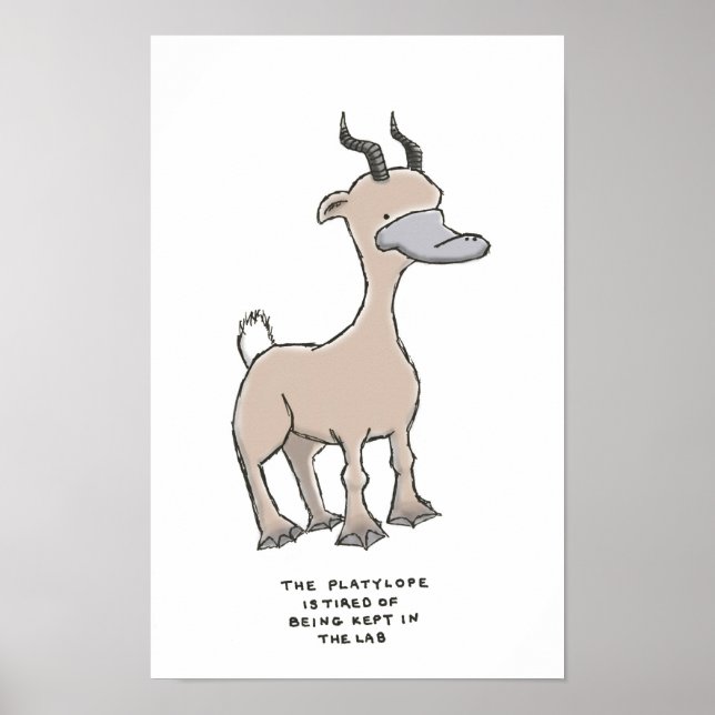 platylope trivia poster (Framsidan)