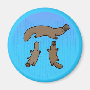 "Platypi" tre Platypuses grek Pi Magnet