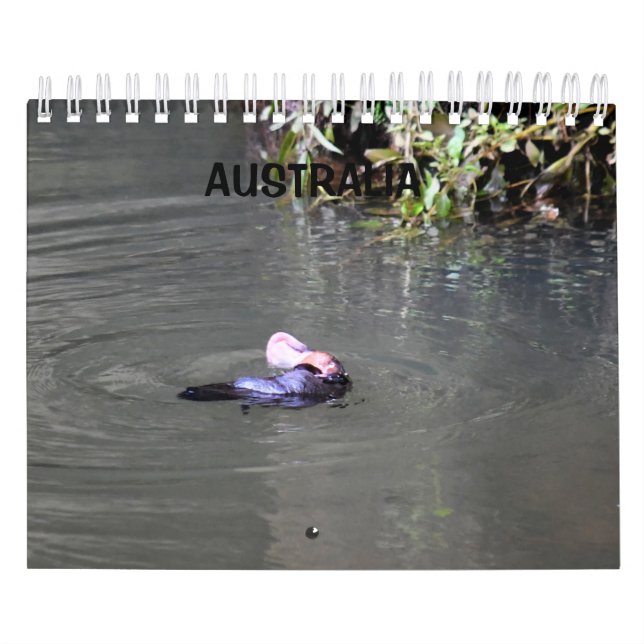 PLATYPUS AUSTRALIA KALENDER (Omslag)