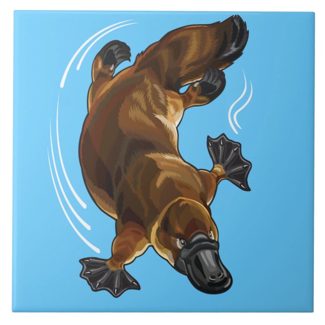 platypus kakelplatta (Framsidan)
