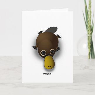 platypus kort