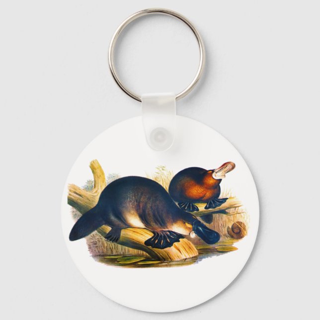 Platypus Nyckelring (Framsida)