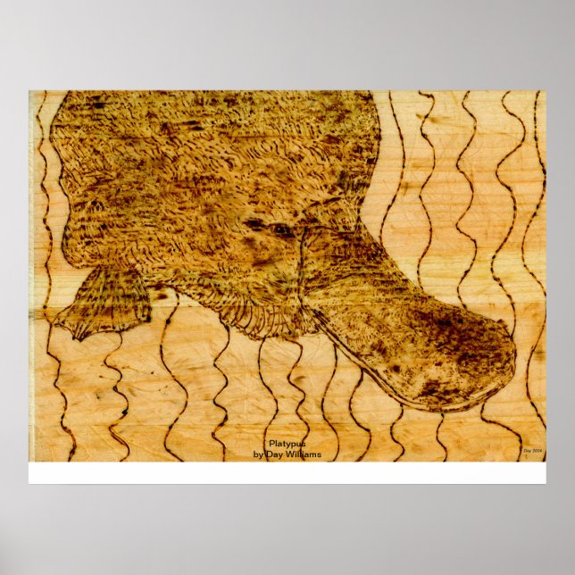Platypus Poster (Framsidan)