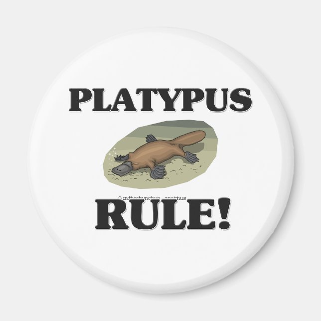 PLATYPUS-regel! Magnet (Framsidan)