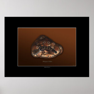 PLATYPUS VÄG Art Poster