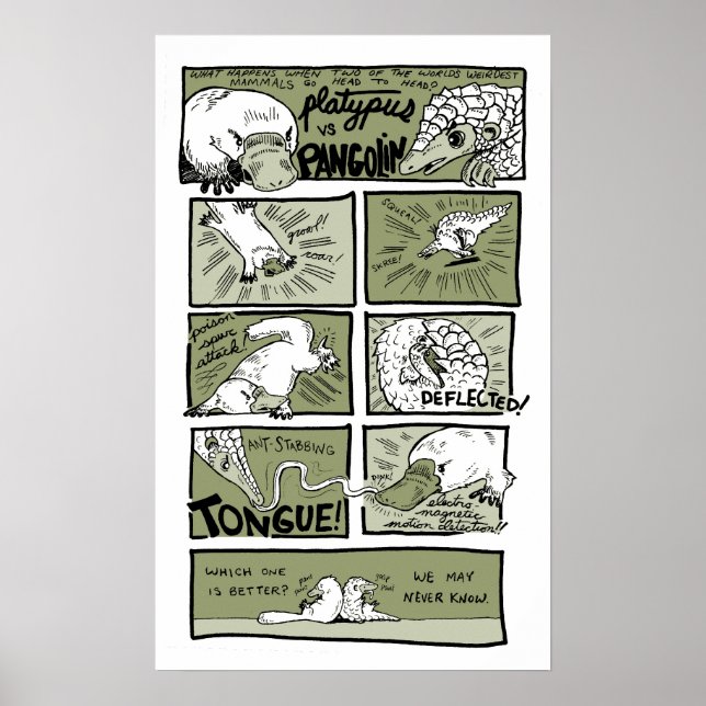 Platypus vs. Pangolin Poster (Framsidan)