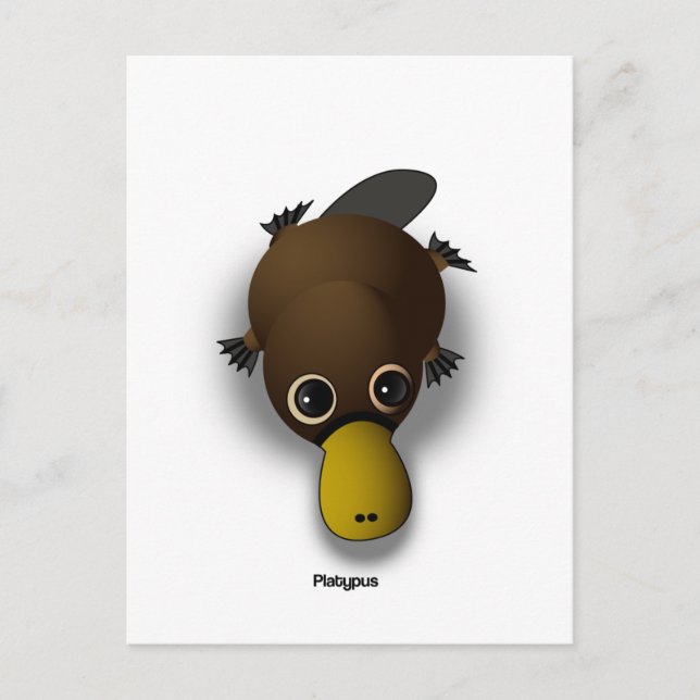 platypus vykort (Framsida)