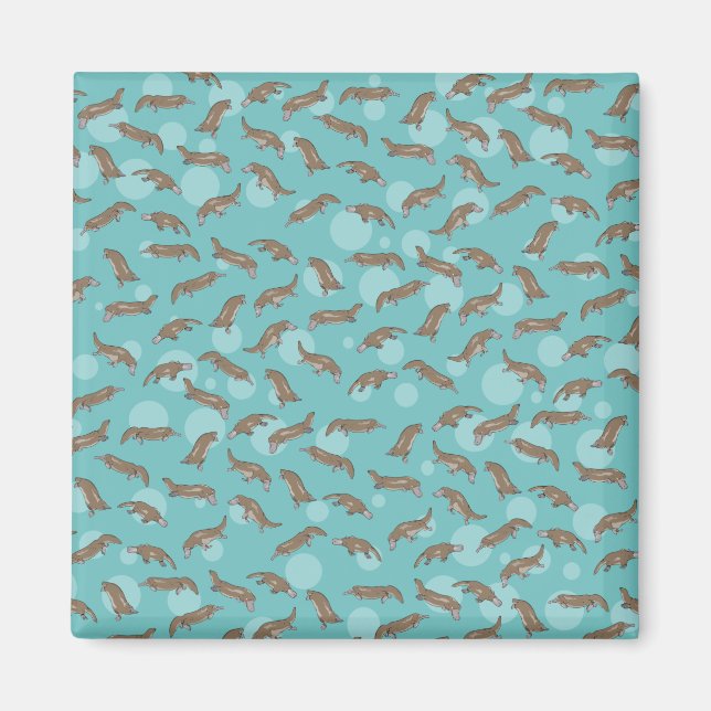 Platypuses Swimming Magnet (Framsidan)