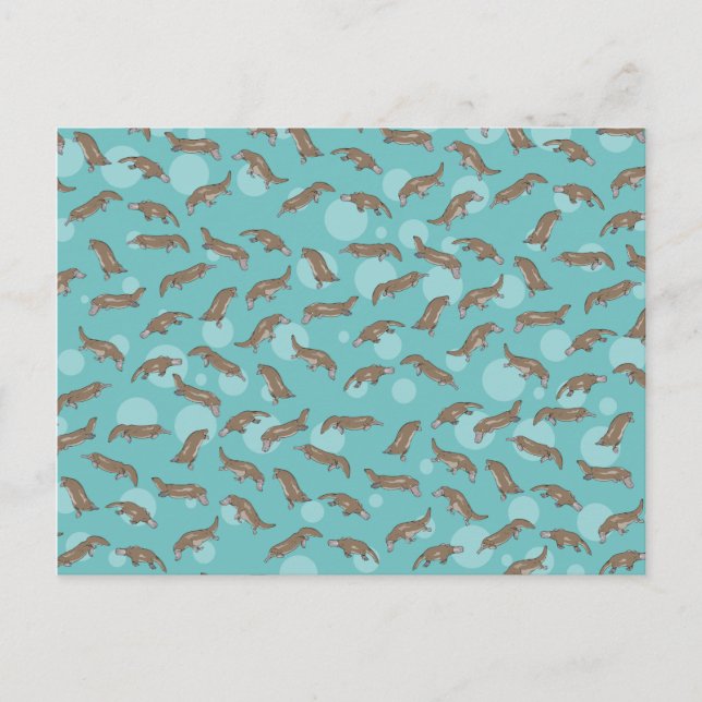 Platypuses Swimming Vykort (Framsida)