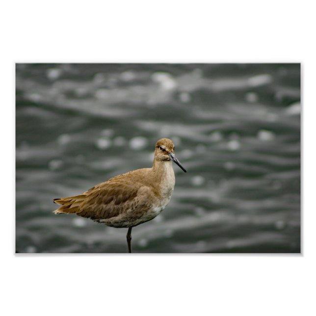 Play Del Rey Fototryck (Framsidan)