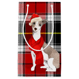 Play och en italiensk Greyhound-Hund