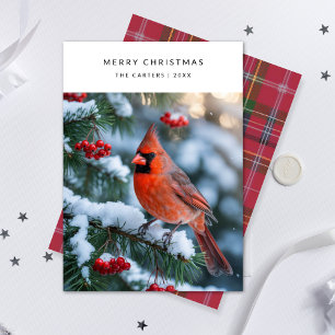Play Red Cardinal God jul Bird Photo Holi Julkort