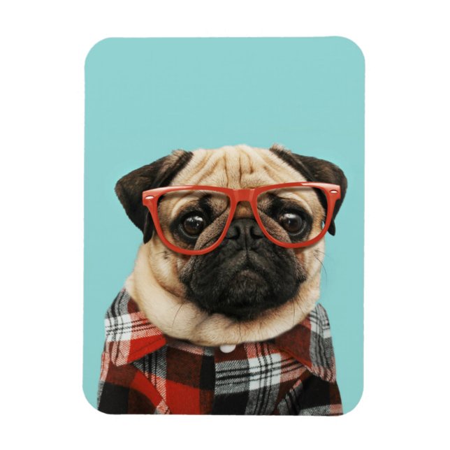 Play Shirt Pug Magnet (Vertikal)