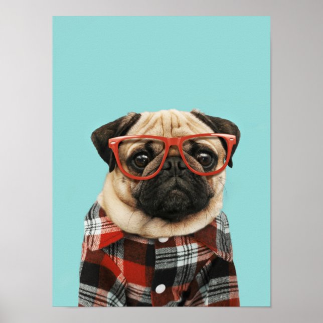 Play Shirt Pug Poster (Framsidan)
