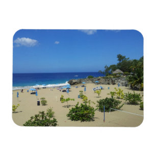 PLAYA ALCIA BEACH SOSUA DOMINICAN REPUBLIC SURFA O MAGNET