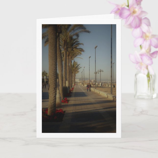 Playa de la Malvarrosa de Valencia Kort (Orkide)