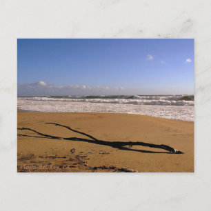 Playa del Rey Breakers - Mike Izzo Vykort