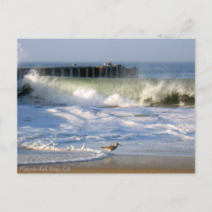 Playa del Rey Surfa Birds - Mike Izzo Vykort