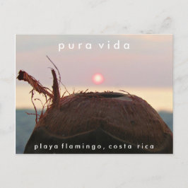 Playa Flamingo Sunset Coconut Costa Rica vykort