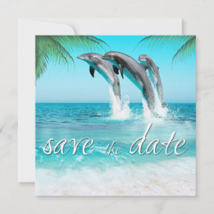PLAYFUL DOLPHINS TROPICAL OCEAN Spara datumet