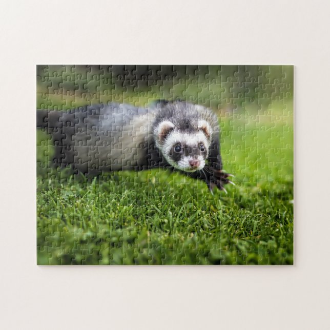 "Playful Ferret Close", Jigszawa Puzzle" Pussel (Horisontell)