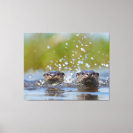 Playful Otters Popping Up Water Splash Canvastryck