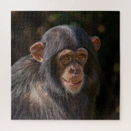 Playful Soul – Baby Chimpanzee Close-Up Pussel
