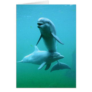 Playtime Hälsningskort