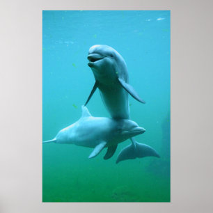 Playtime Poster