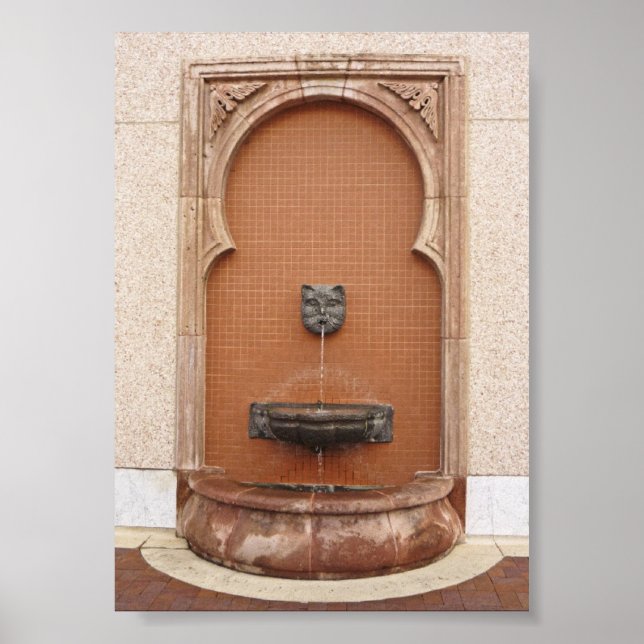 Plaza Cat Fontän Poster (Framsidan)