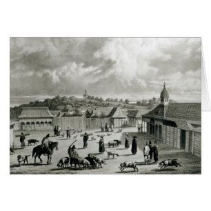 Plaza de San-Carlos de Chiloe, 1835] Hälsningskort