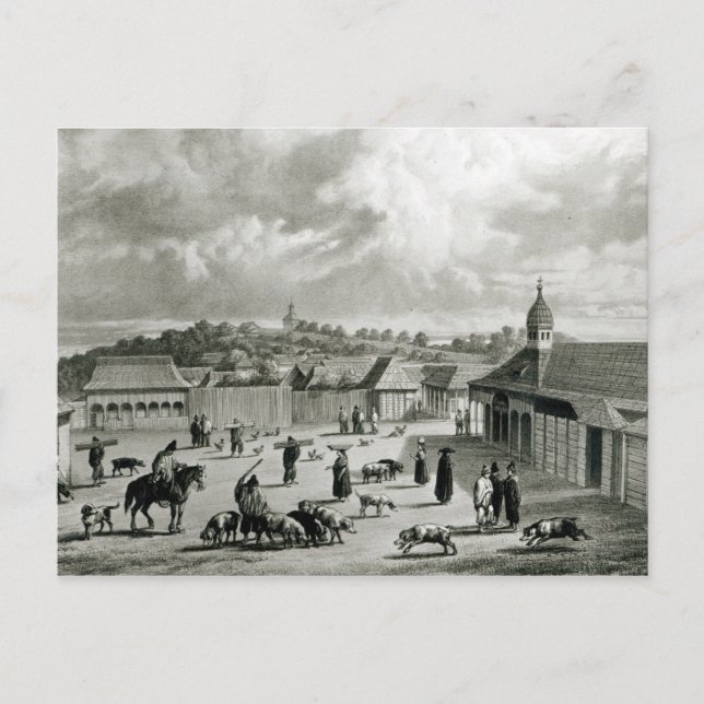Plaza de San-Carlos de Chiloe, 1835] Vykort (Framsida)