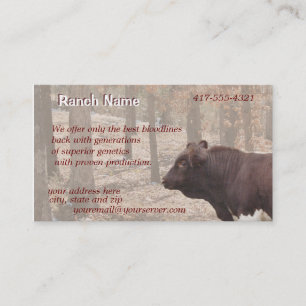 PLBBizCard-skräddarsy som behövt Visitkort