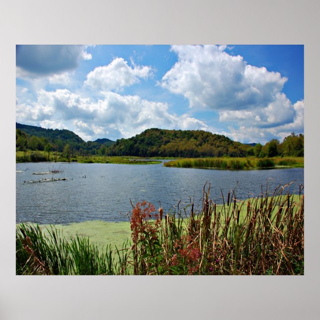 Pleasant Bäck Poster (Framsidan)