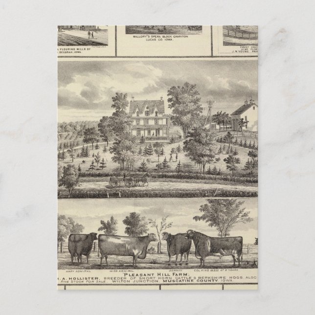 Pleasant Backe Farm bldgs i Decorah Vykort (Framsida)